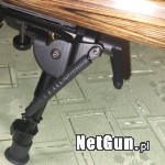 Zdjęcie 8