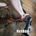 Zdjęcie 4