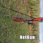 Zdjęcie 4