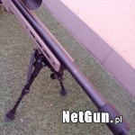 Zdjęcie 3