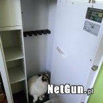 Zdjęcie 7