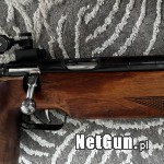Zdjęcie 5
