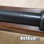 Zdjęcie 5