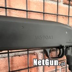 Zdjęcie 4