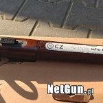 Zdjęcie 6