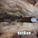 Zdjęcie 7