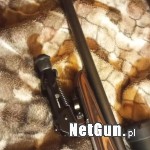 Zdjęcie 6