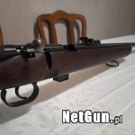 Zdjęcie 6