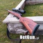 Zdjęcie 3