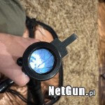 Zdjęcie 2