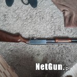 Zdjęcie 9