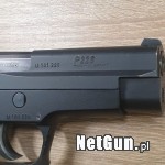 Zdjęcie 5