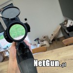 Zdjęcie 5
