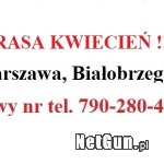 Zdjęcie 9