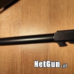 Zdjęcie 7