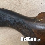 Zdjęcie 5