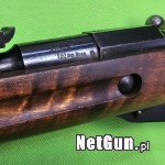 Zdjęcie 8
