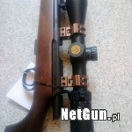 Zdjęcie 3