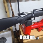 Zdjęcie 3