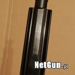 Zdjęcie 8