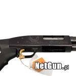 Zdjęcie 6