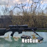 Zdjęcie 5