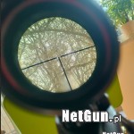 Zdjęcie 6