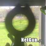 Zdjęcie 7