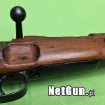 Zdjęcie 8
