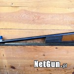 Zdjęcie 8