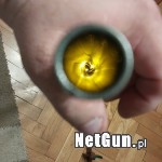 Zdjęcie 6