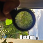 Zdjęcie 5