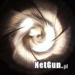 Zdjęcie 6