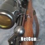 Zdjęcie 5