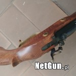 Zdjęcie 8