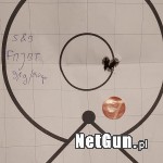 Zdjęcie 7