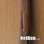 Zdjęcie 8