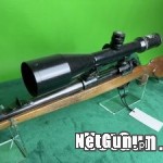Zdjęcie 5