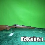 Zdjęcie 5