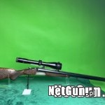 Zdjęcie 5