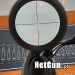 Zdjęcie 4