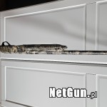 Zdjęcie 3