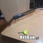 Zdjęcie 8