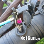 Zdjęcie 5