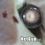 Zdjęcie 3