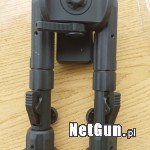 Zdjęcie 5