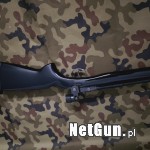 Zdjęcie 7