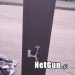 Zdjęcie 5