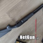 Zdjęcie 5