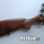 Zdjęcie 8